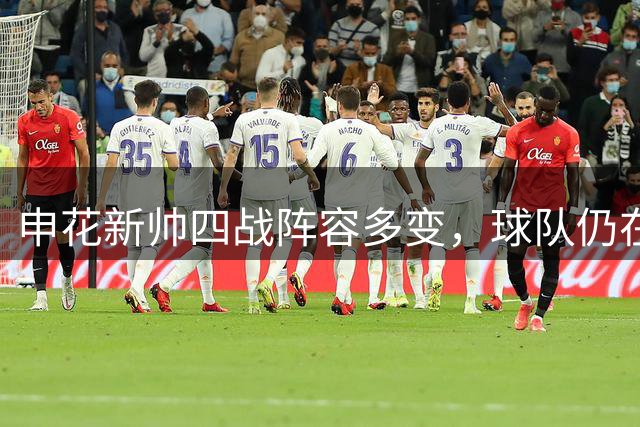 申花新帅四战阵容多变，球队仍在磨合阶段